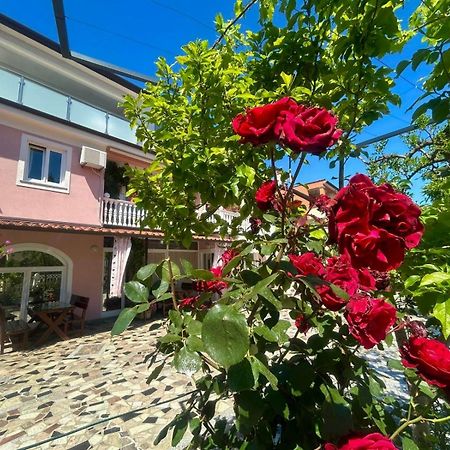 Apartments Tereza Novigrad Istria Exterior foto
